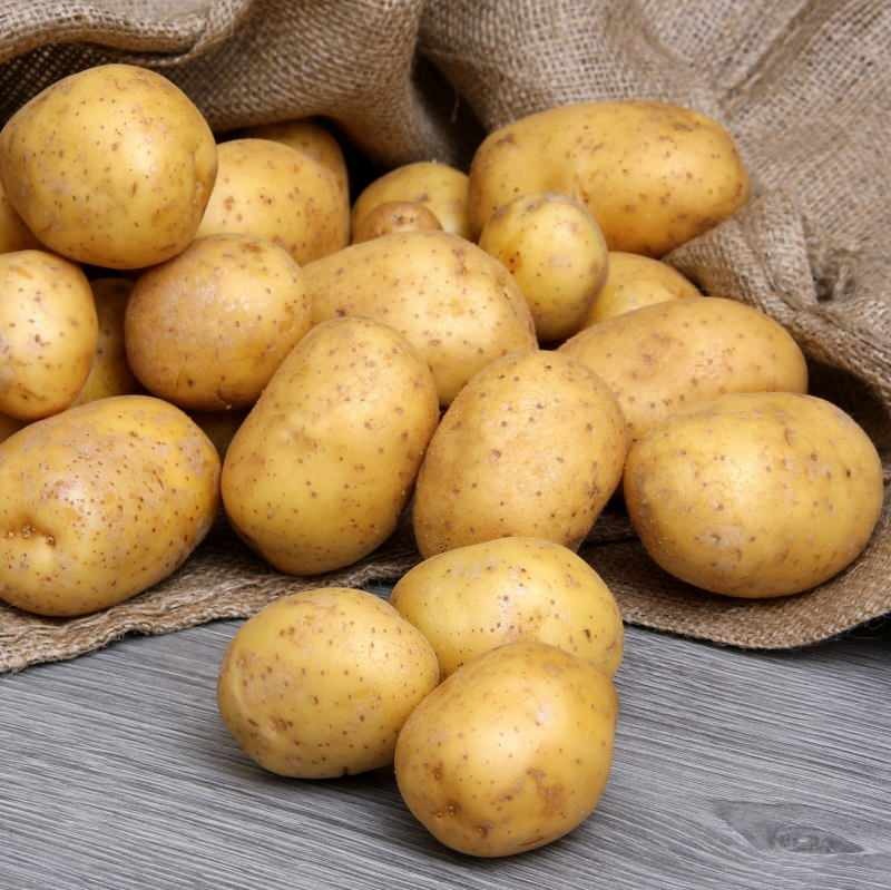 Care este diferența dintre cartofii comestibili și cartofii prăjiți