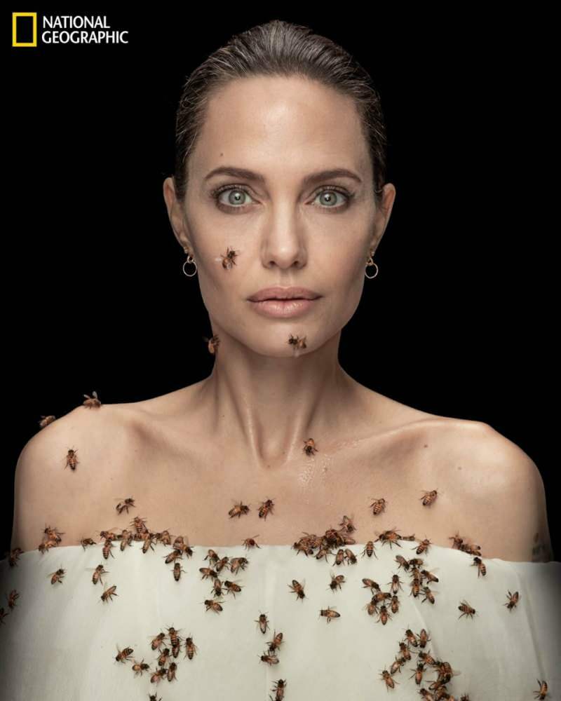 Angelina Jolie în lentilă cu albine pentru albine!