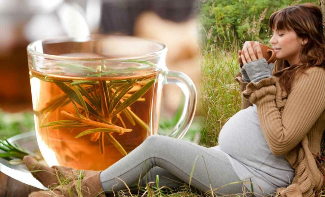 Pot femeile însărcinate să bea ceai de iarnă? Ce ceai ar trebui să bei în timpul sarcinii? ceaiuri de iarna pentru gravide