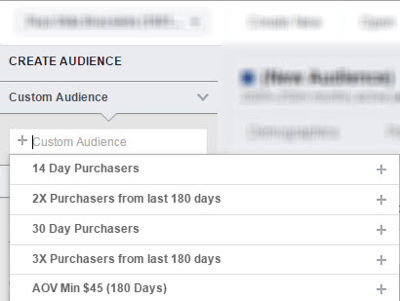 Analizați publicul personalizat ales în Facebook Audience Insights.