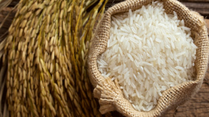 Cum se înțelege cel mai bun orez? 
