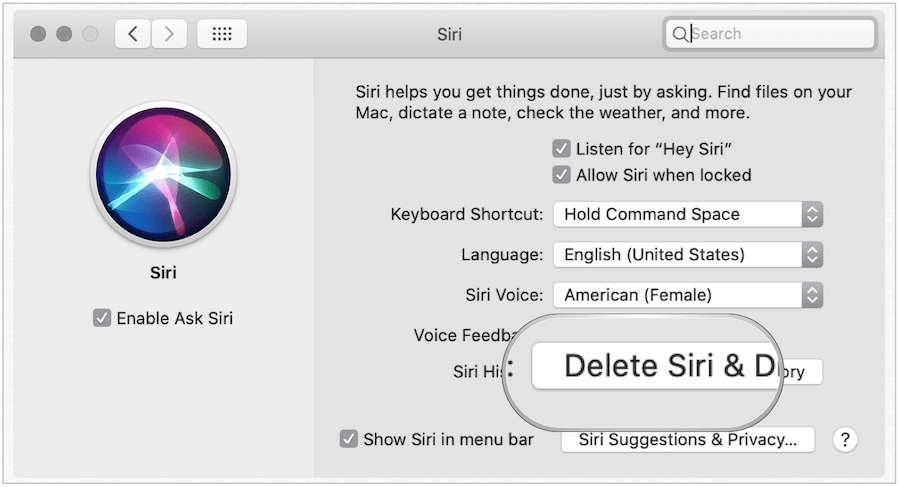 Ștergeți Siri History de pe Mac