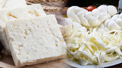 Cum să înțelegeți brânza bună? Sfaturi pentru alegerea brânzei