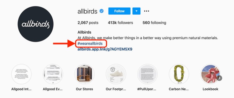 exemplu de hashtag de companie inclus în descrierea profilului contului instagram @allbirds
