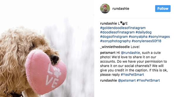 PetSmart analizează o varietate de hashtaguri legate de animalele de companie și le cere fanilor permisiunea de a utiliza imagini relevante în marketingul lor.