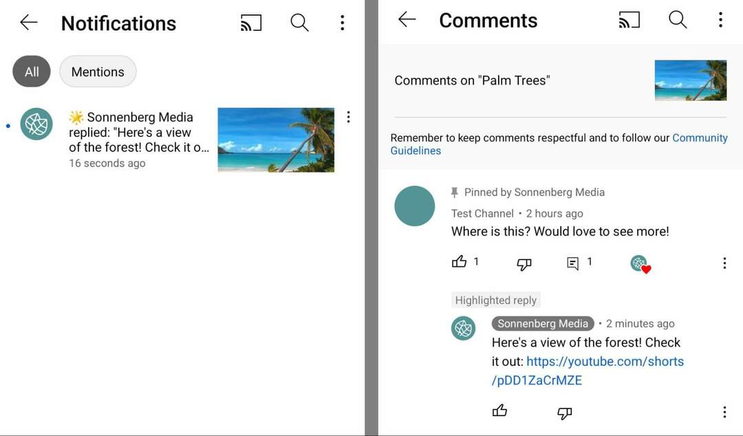 cum-se-utilizați-youtube-shorts-commenting-feature-pentru-eticheta-și-menționează-commenters-copy-url-for-short-and-share-in-coment-on-original-video-sonnenbergmedia-example-15