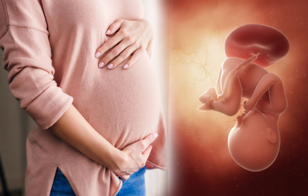 Care sunt simptomele sarcinii? Simptomele precoce ale sarcinii