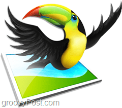 redactor color color aviar