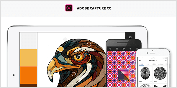 Adobe Capture creează o paletă dintr-o imagine pe care o capturați cu un dispozitiv mobil. Site-ul web prezintă o ilustrare a unei păsări și o paletă creată din ilustrație, care include gri deschis, galben, portocaliu și maro roșcat.