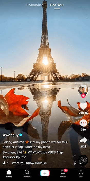 captură de ecran a postării tiktok de @ wonguy974 intitulată toamna falsificată, care arată turnul Eiffel în siluetă și soarele apunând în spatele lui, cu reflecția sa într-o baltă încadrată de două frunze de toamnă în partea de jos a imagine