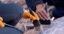 Descoperire care va schimba cursul istoriei: arheologii au descoperit cea mai veche structură din lemn din lume