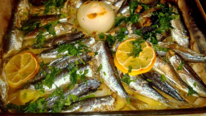 Cum se gătește pește de sardină? Cea mai ușoară rețetă de sardină