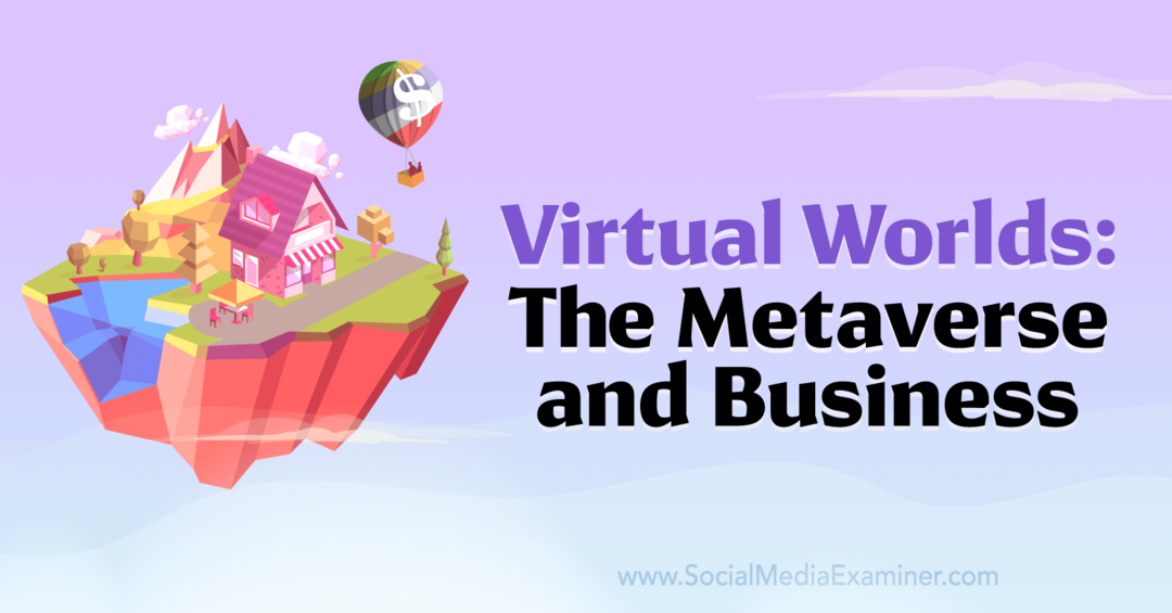 Lumi virtuale: metaversul și afacerile: examinator de rețele sociale