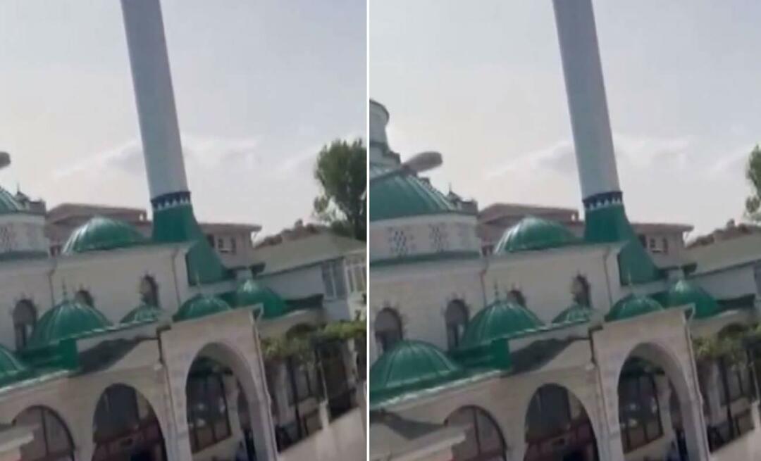 Anunțul „Pisica este tristă” făcut de la moschee a devenit viral! Acele momente care fac pe toți să zâmbească...