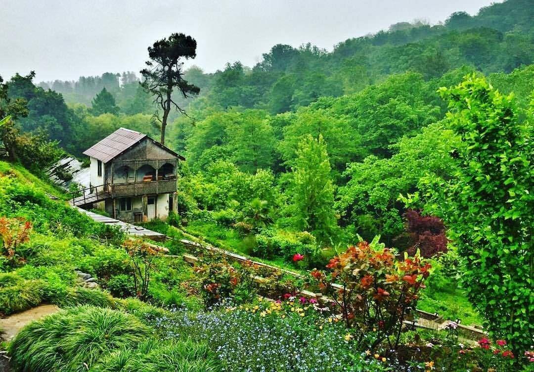 Grădina Botanică Batumi