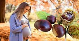Pot femeile însărcinate să mănânce castane? Beneficiile consumului de castane în timpul sarcinii pentru bebeluș și mamă
