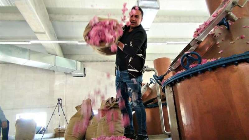 Berdan Mardini a înființat o fabrică de ulei de trandafir în orașul său natal!