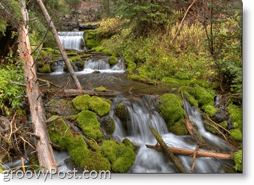 Fotografie - Slow Shutterspeed Exemplu - Forest green river river water water