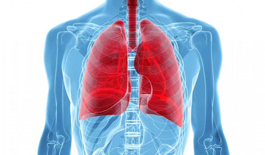 Ce este sindromul pulmonar alb și care sunt simptomele acestuia? Care este tratamentul pentru sindromul pulmonar alb?