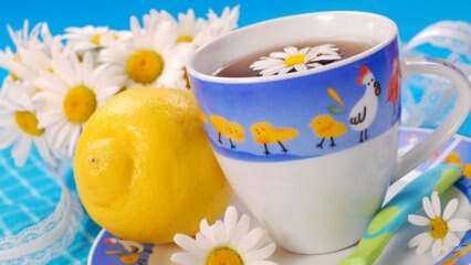 Recomandare ceai de plante de la Saraçoğlu în timpul sarcinii! Este dăunător femeilor însărcinate să bea ceai de plante?
