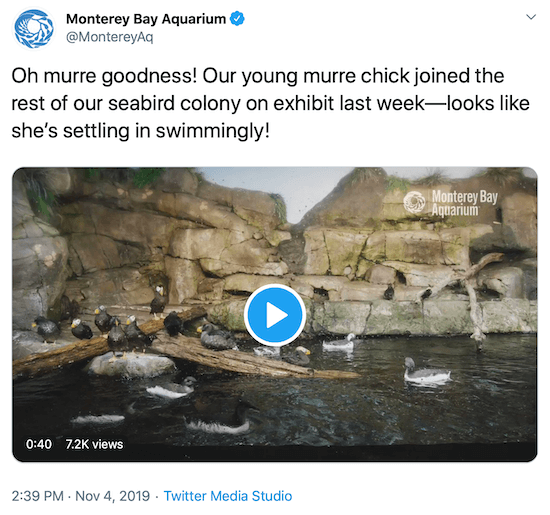 tweet de la Monterey Bay Aquarium ca exemplu al vocii de social media a unui brand