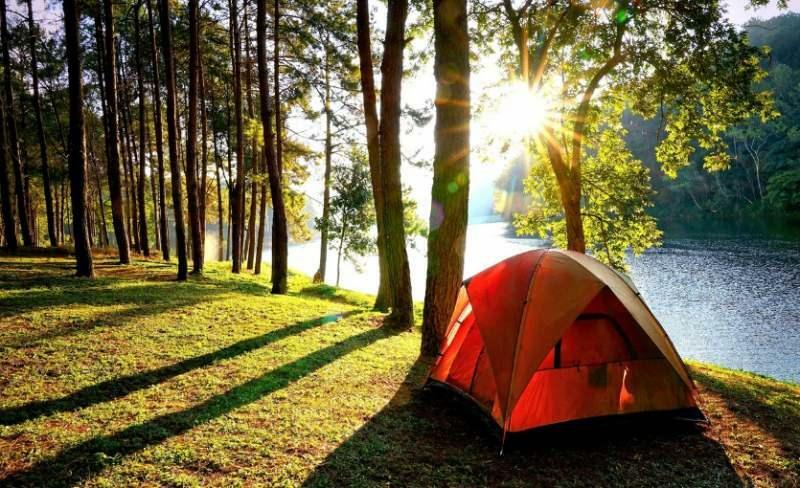 Camping în pădurea Belgrad 