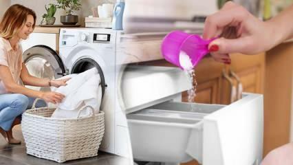 Care este cel mai bun detergent pentru alb? Cele mai bune recomandări de detergent de rufe! Cel mai bun detergent praf