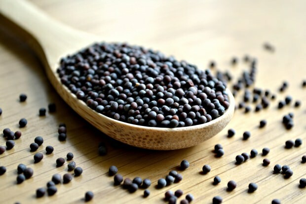 semințe de muștar negru