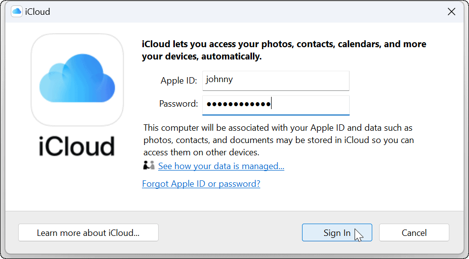 Conectați Apple iCloud cu aplicația Fotografii Windows 11
