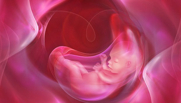 Ce este Placenta Previa? Cum se face îngrijirea cordonului ombilical la bebeluși? Dacă cordonul ombilical este lung ...