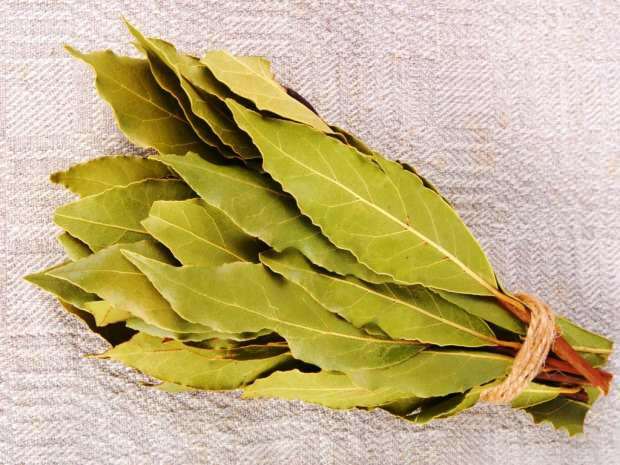 frunza de dafin este cel mai des folosită în cosmetică
