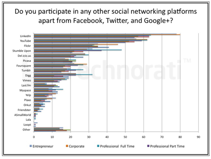 alte platforme de socializare