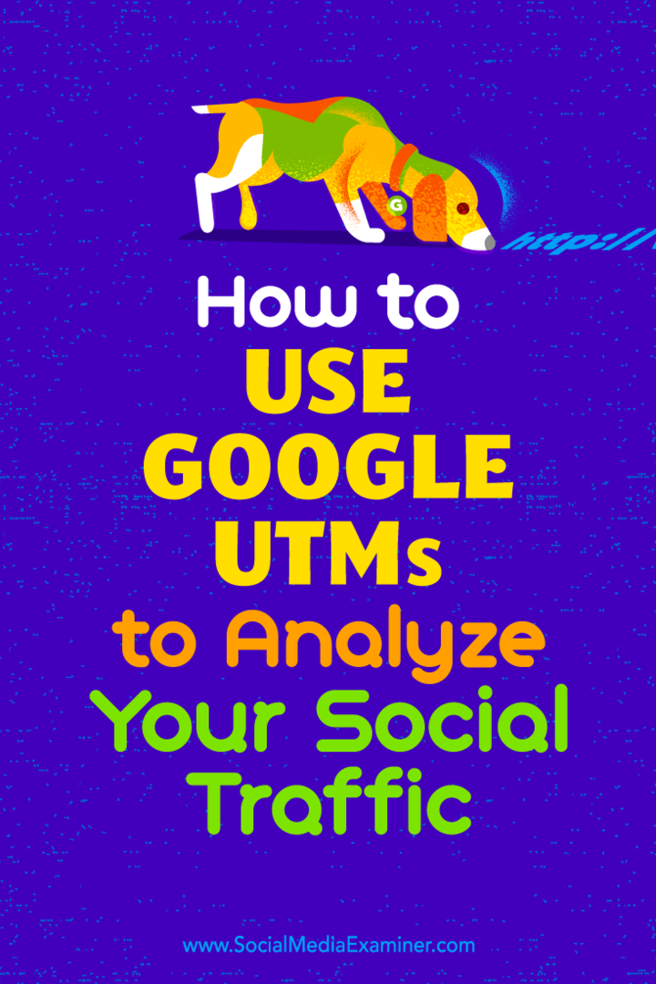 Cum să utilizați Google UTM-uri pentru a vă analiza traficul social de către Tammy Cannon pe Social Media Examiner.