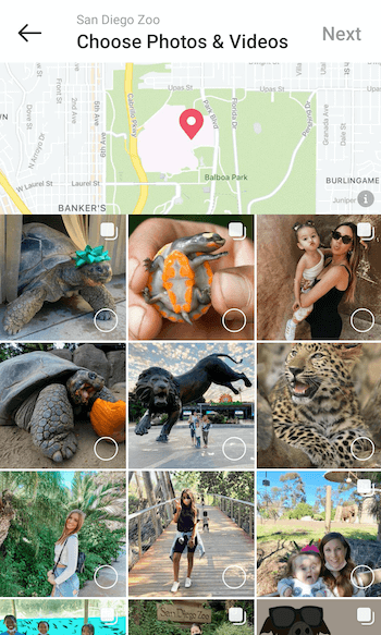 exemplu creați un ghid de locații instagram pentru @sandiegozoo la opțiunea de a selecta fotografii și videoclipuri cu câteva exemple de postări oferite pentru selecție