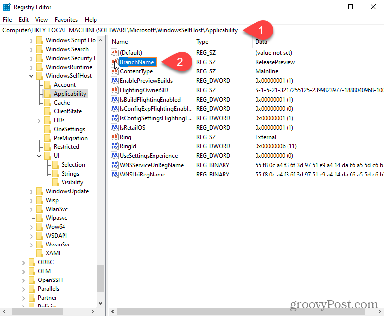 Faceți dublu clic pe cheia BranchName din registrul Windows