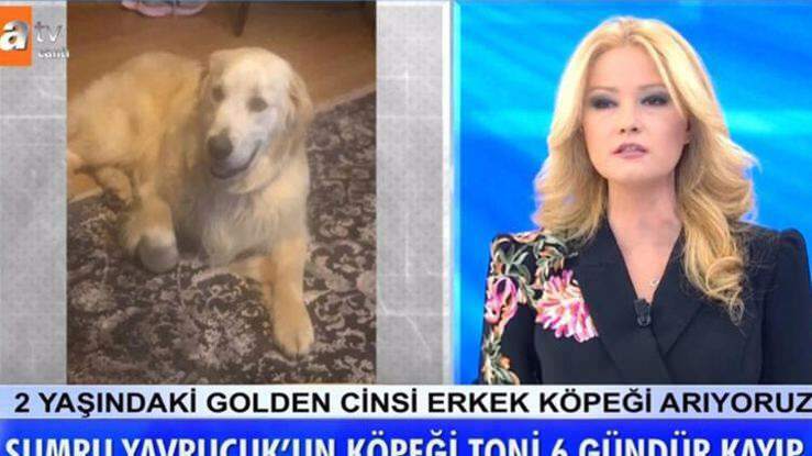 Prezentatoarea Müge Anlı a anunțat: Câinele actriței Sumru Yavrucuk a fost găsit ...