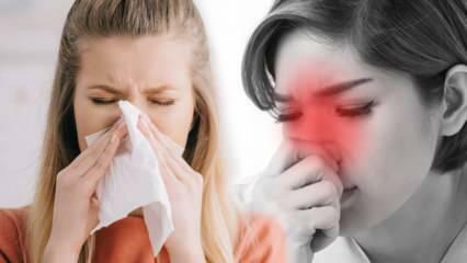 Ce este rinita alergică? Care sunt simptomele rinitei alergice? Există un tratament pentru rinita alergică?