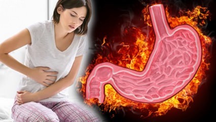 Ce este Gastrita? Care sunt simptomele gastritei și au tratament? Ce este bun pentru gastrită?