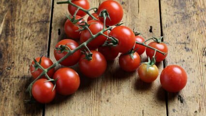 Cum să preveniți putregaiul tomatelor? Cum să preveniți molia de roșii? 