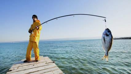 Cum se pescuieste? Care sunt trucurile pescuitului cu undița?