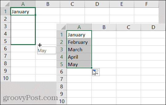 Luni de completare automată Excel