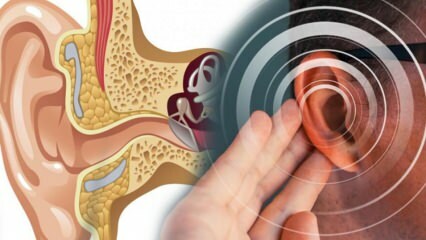 Boala urechii: ce cauzează meniurile? Care sunt simptomele Meniere? Există un leac?