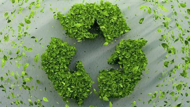 Care sunt beneficiile utilizării Zero Waste