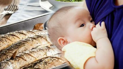Poate fi mâncat pește în timpul alăptării?