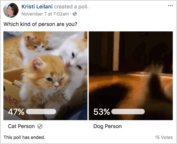 Rezultatele sondajului Facebook GIF