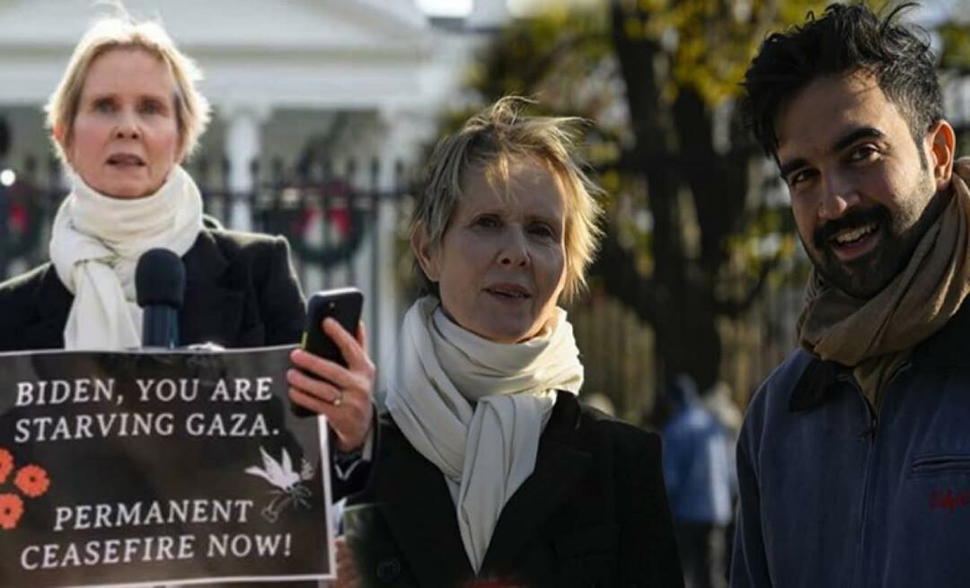 Actrița americană Cyntia Nixon a vorbit pentru palestinieni din fața Casei Albe!