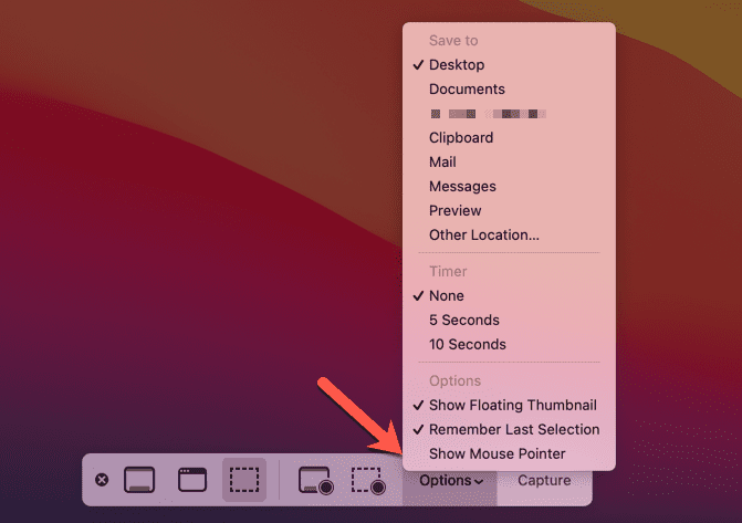 Opțiuni pentru bara de capturi de ecran pentru Mac