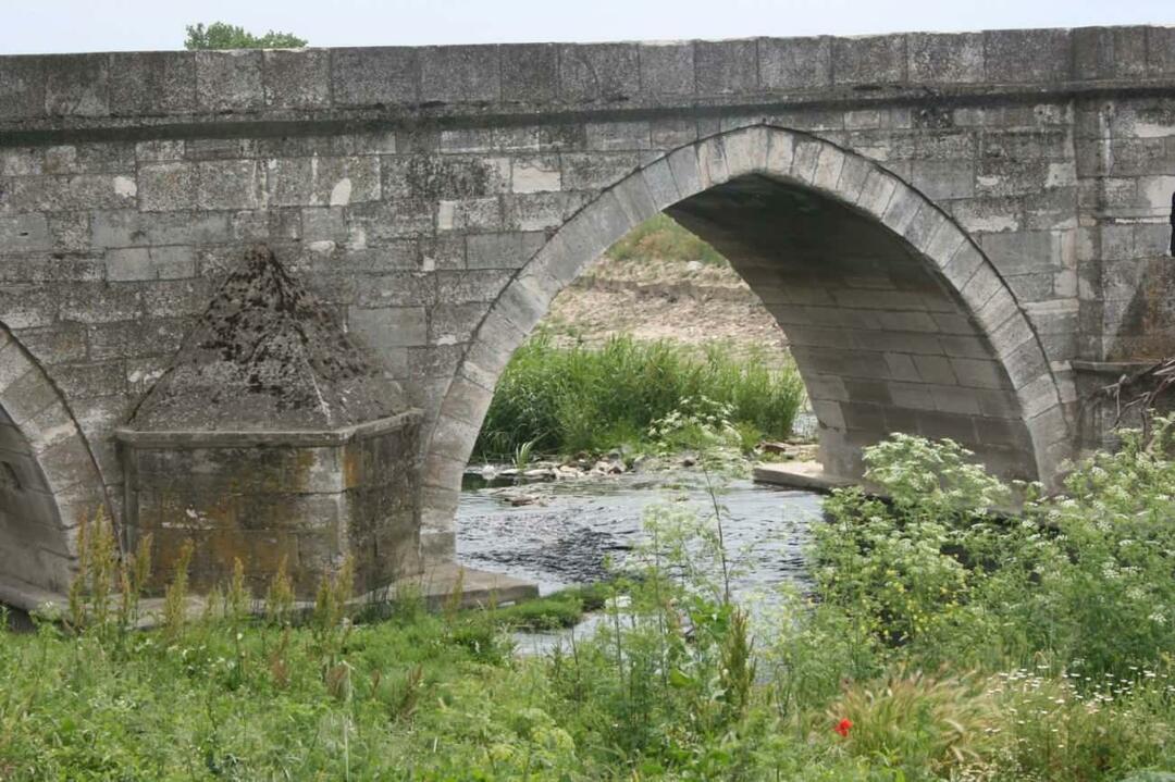 Rame de la Podul Sokullu Mehmet Pasha