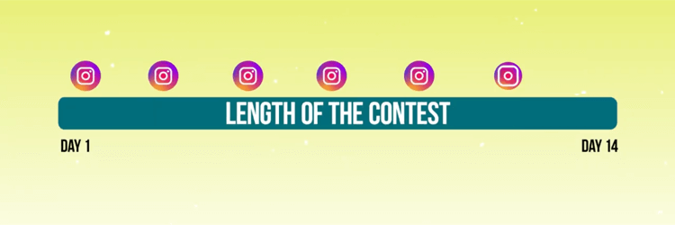 grafic care descrie cronologia postărilor promoționale pentru concursul Instagram