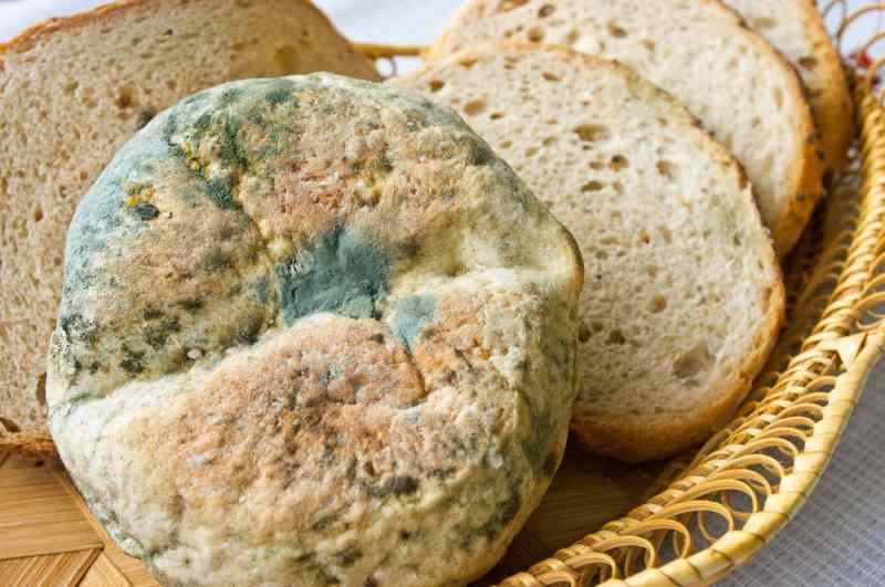 Modalități de a preveni pâinea să devină învechită și mucegăită